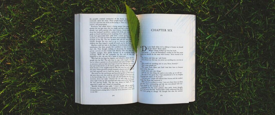 chapter six, books, open book, reading, grass
