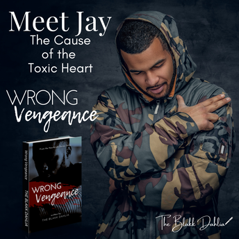 Wrong Vengeance book, Meet Jay, written by The Blakk Dahlia